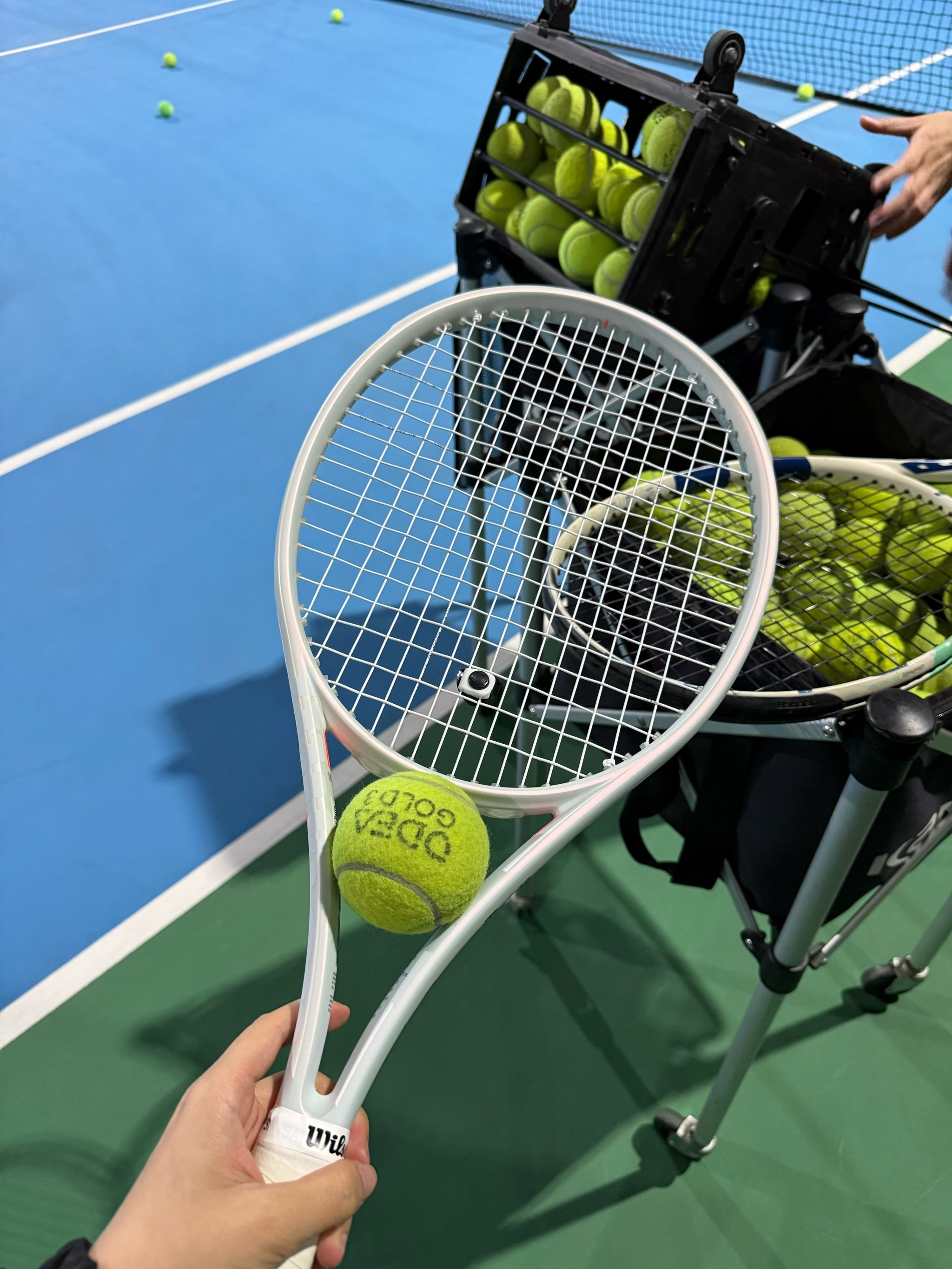 见的开局危 见的开局危