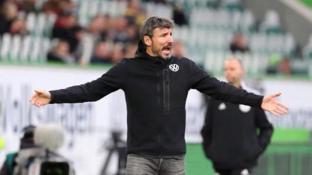 结论性观察 结论性观察